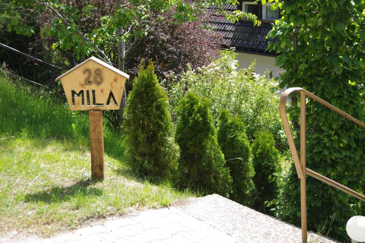 Mila In Schwarzwald Near Titisee Apartment