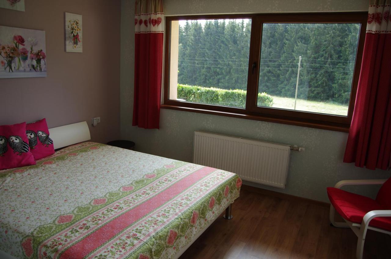 Mila In Schwarzwald Near Titisee