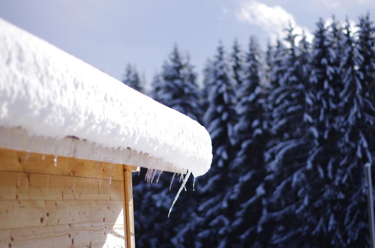 Mila In Schwarzwald Near Titisee Apartment Oberbrand